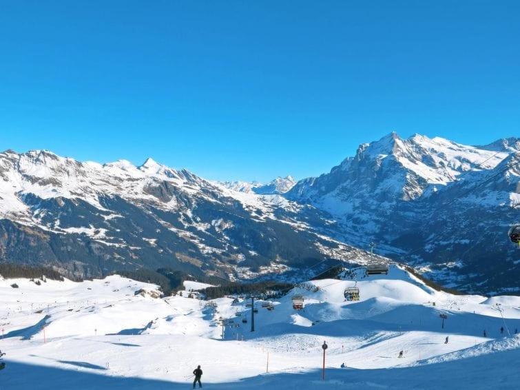 Apartament Chalet Aphrodite Ost Grindelwald Zewnętrze zdjęcie