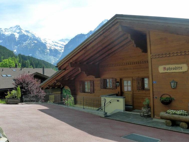 Apartament Chalet Aphrodite Ost Grindelwald Zewnętrze zdjęcie