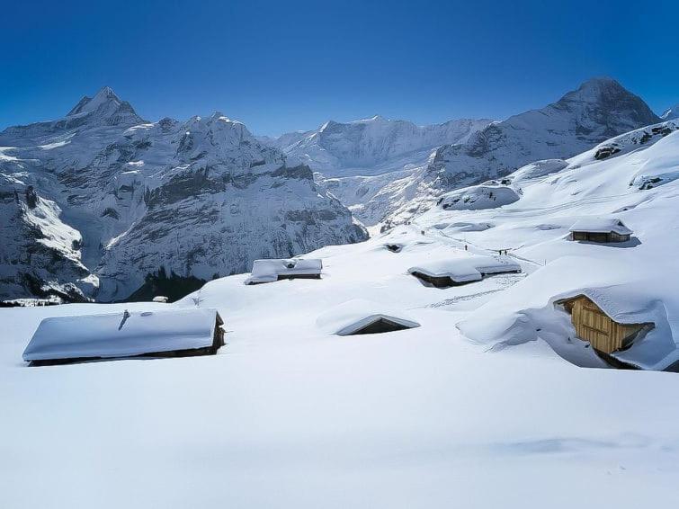 Apartament Chalet Aphrodite Ost Grindelwald Zewnętrze zdjęcie