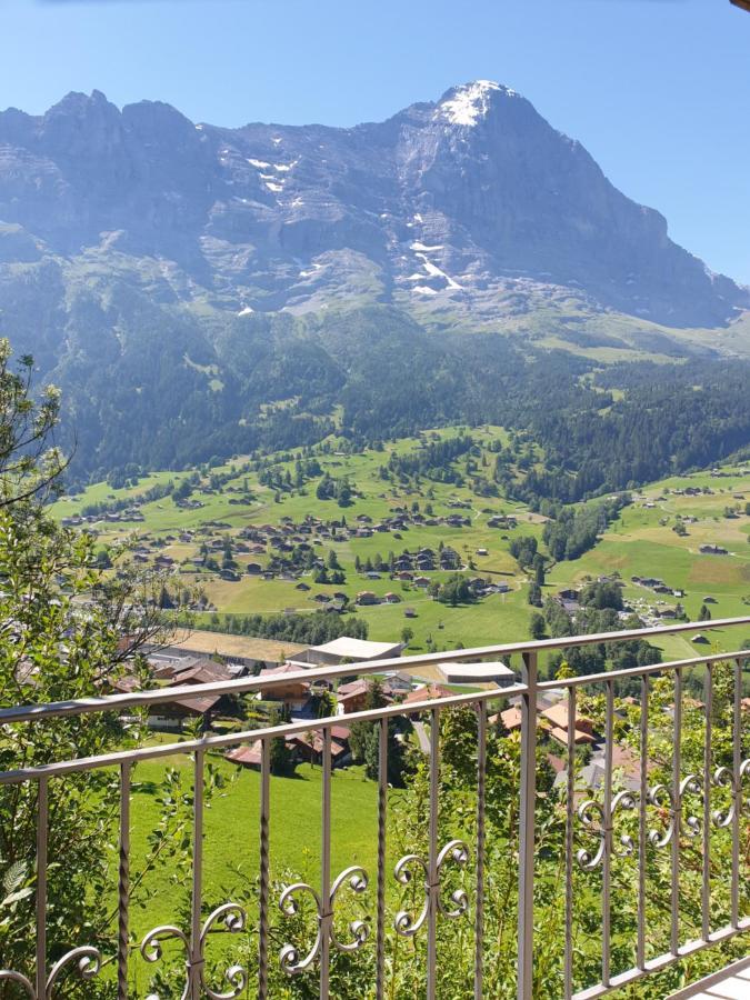 Apartament Chalet Aphrodite Ost Grindelwald Zewnętrze zdjęcie